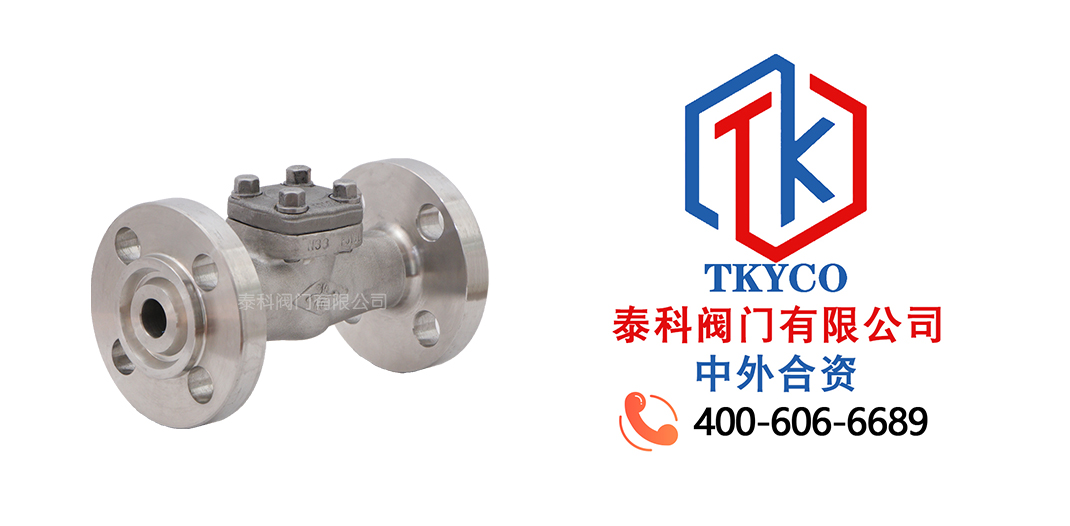 泰科閥門有限公司旋啟式止回閥的應(yīng)用領(lǐng)域！